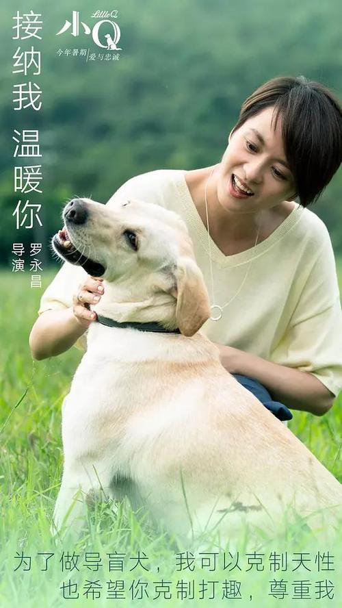 做征信报告多少钱